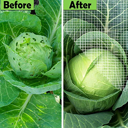 FARAER شبكة حاجز الحديقة، أغطية النباتات 10x10 قدم شبكة دقيقة للغاية لحماية النباتات والخضروات والفواكه والزهور والمحاصيل والبيوت الزجاجية وأغطية الصفوف وحواجز الأسرة المرتفعة وشاشة الحماية من الطيور والحيوانات - Image 5