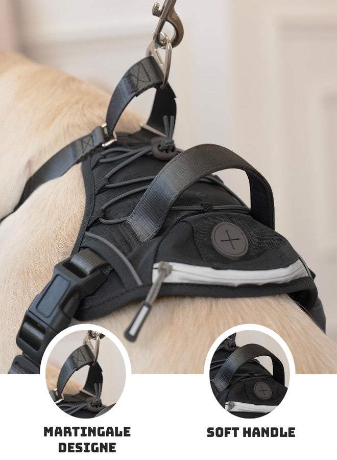 DF No Pull Martingale Dog Harness, Easy Walking & Escape Proof, Reflective & Adjustable Fit, No Twist Front Clip Harness with Handle and Zippered Pocket, Black, 3/4", Chest 22"-27" - Image 2