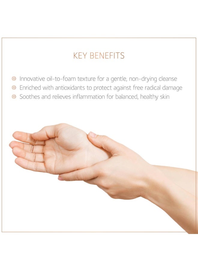 سول تري منظف ​​SoulTree المزيل للسموم (زيت يتحول إلى رغوة) | غسول للوجه | لجميع أنواع البشرة | غني بالكركم والصبار - 120 مل - Image 3