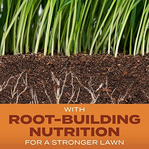 Scotts Turf Builder Grass Seed Bermudagrass with Fertilizer and Soil Improver, Drought-Tolerant, 4 lbs. - Image 2
