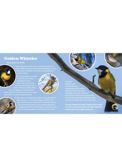 A FIRST BOOK OF BEAUTIFUL BIRD SONGS: The best bird voices from around the world