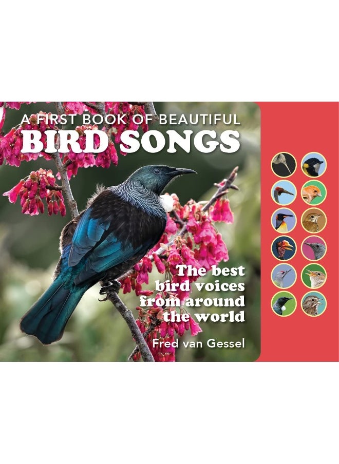 null - A FIRST BOOK OF BEAUTIFUL BIRD SONGS: The best bird voices from around the world - Image 1