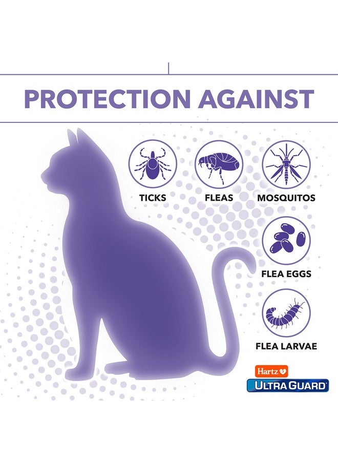 هارتز مستحضر Ultraguard Pro الموضعي للوقاية من البراغيث والقراد للقطط والقطط الصغيرة التي يزيد وزنها عن 5 أرطال، علاج لمدة 6 أشهر  - Image 4
