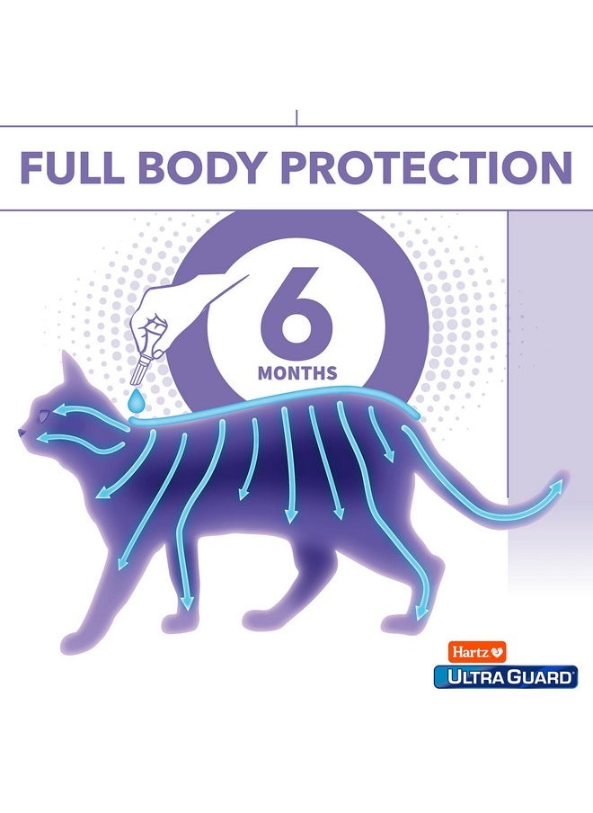 هارتز مستحضر Ultraguard Pro الموضعي للوقاية من البراغيث والقراد للقطط والقطط الصغيرة التي يزيد وزنها عن 5 أرطال، علاج لمدة 6 أشهر  - Image 5