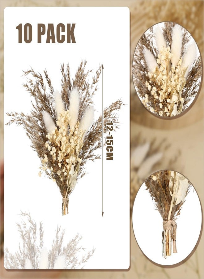 Fabbay 10 Pcs Boho Dried Flower Boutonniere for Men Wedding Mini Dried Flower Bouquet Pocket Boutonniere for Groomsmen Groom Wedding Ceremony Anniversary Dinner Party Decorations - Image 3
