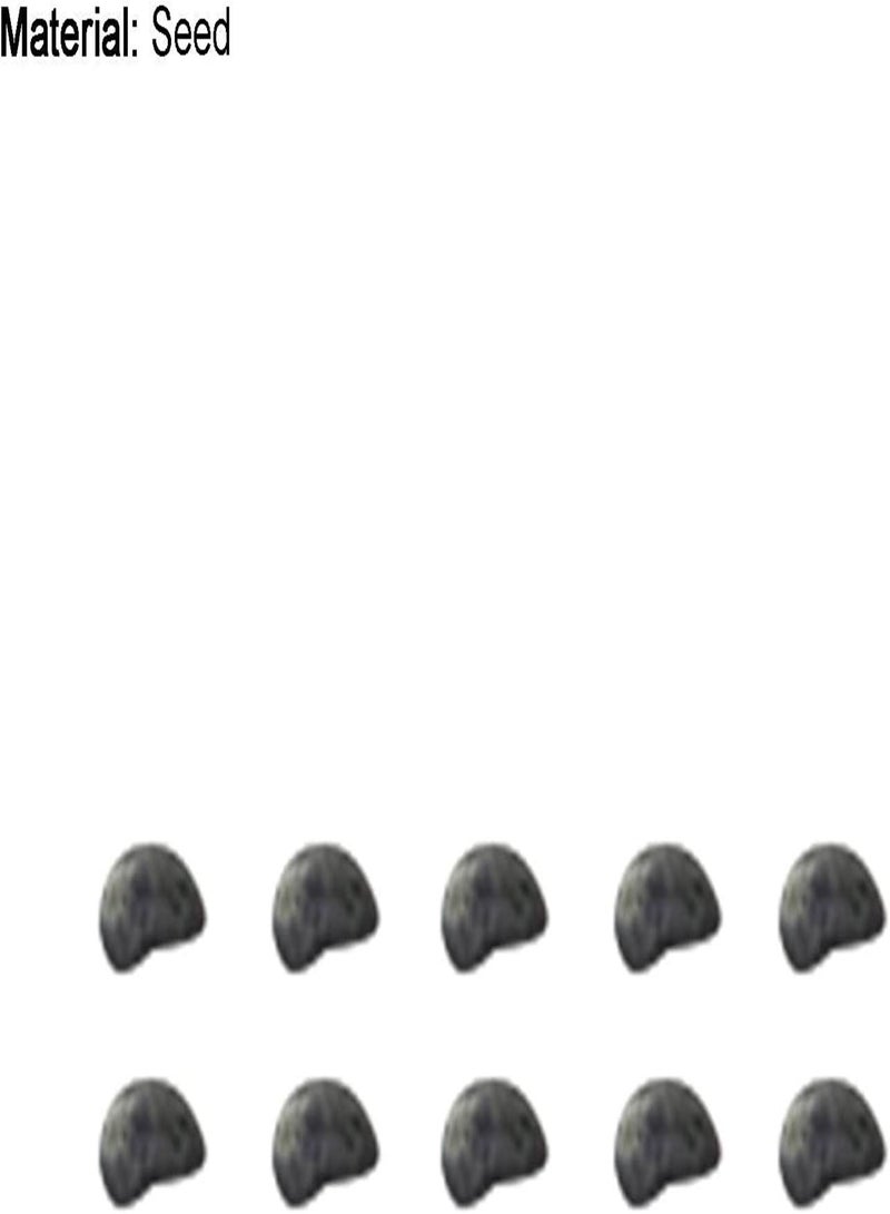 جي جوت بذور حديقة، 10 قطع/كيس من بذور زهرة زنبق اللهب، زينة إكليل الزهور المجيد، بذور زهور معمرة للنوافذ والمكتب، للشرفة - بذور - Image 5