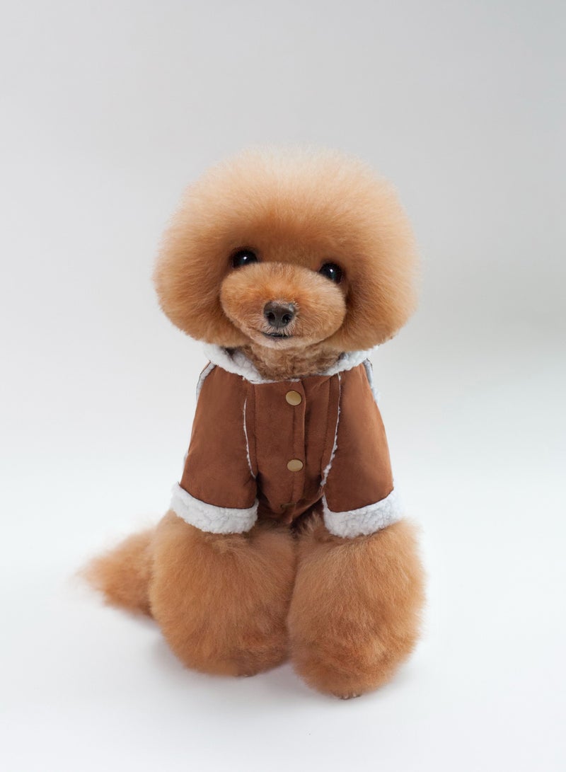 Loquat A pet dog wears a coat and a hat Brown  - Image 1