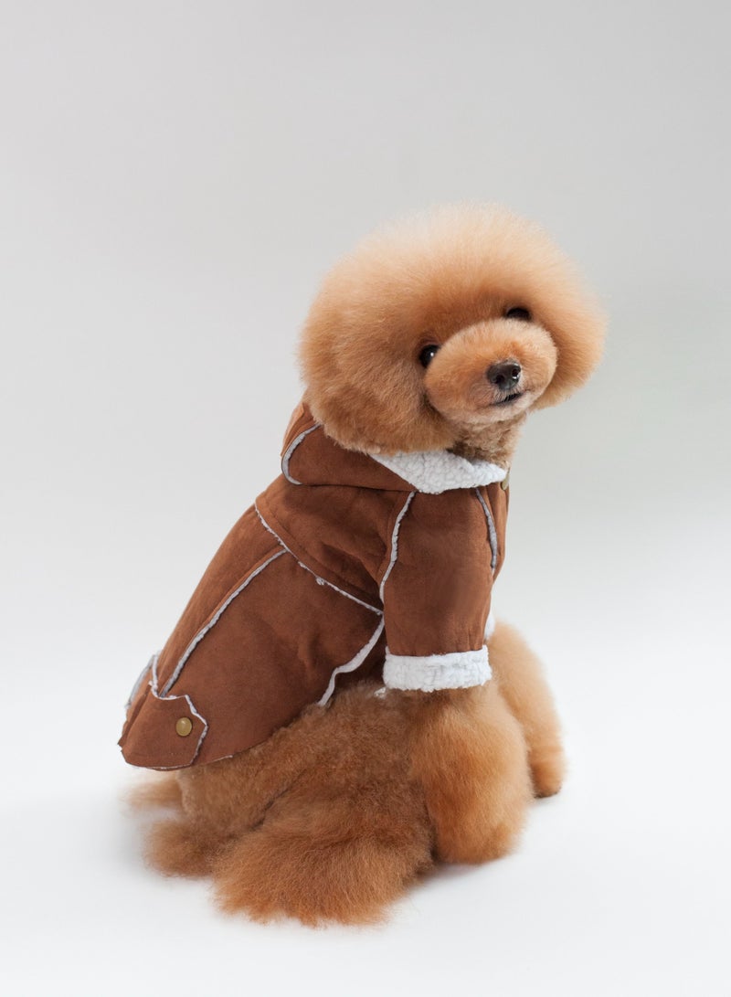 Loquat A pet dog wears a coat and a hat Brown  - Image 2