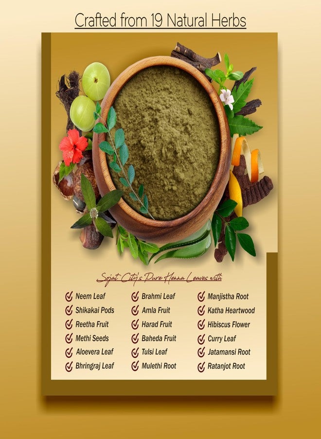 IYUSH Herbal Ayurveda Herbal Mehndi for Hair with 19 Natural Herbs - 400gm | Herbal Mehandi for Hair | Herbal Henna Powder for Hair | Natural Hair Colour | Herbal Hair Colour | - Image 2