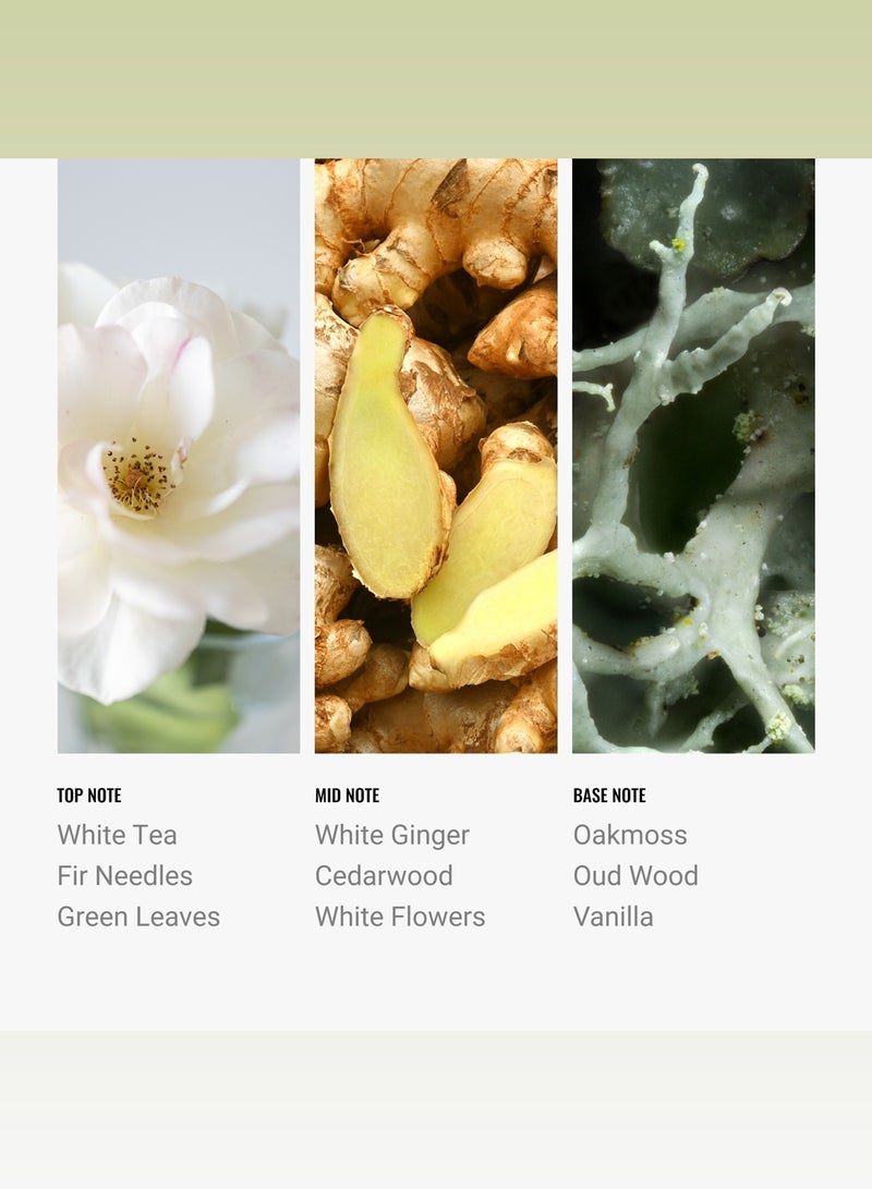 Hotel Collection Botanical Garden Pro-Pod Oil Blend - Hotel Inspired for Luxury Essential Oil Diffusers - Aromatherapy Scent Diffuser Oil - Green Leaves, White Ginger, and Vanilla  - Image 4