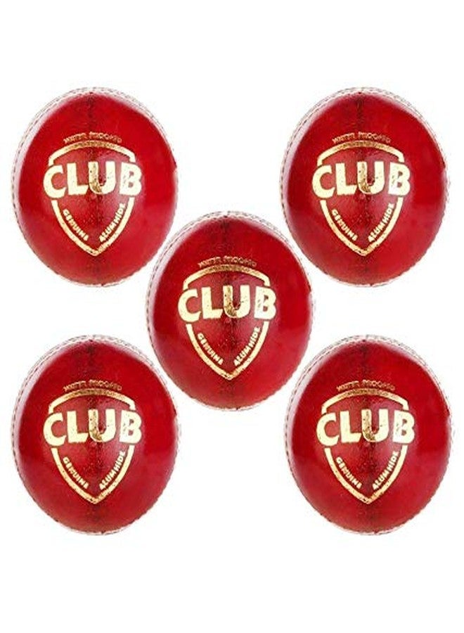 Ankaro Club Red Leather Cricket Ball (Pack of 5)… - Image 2