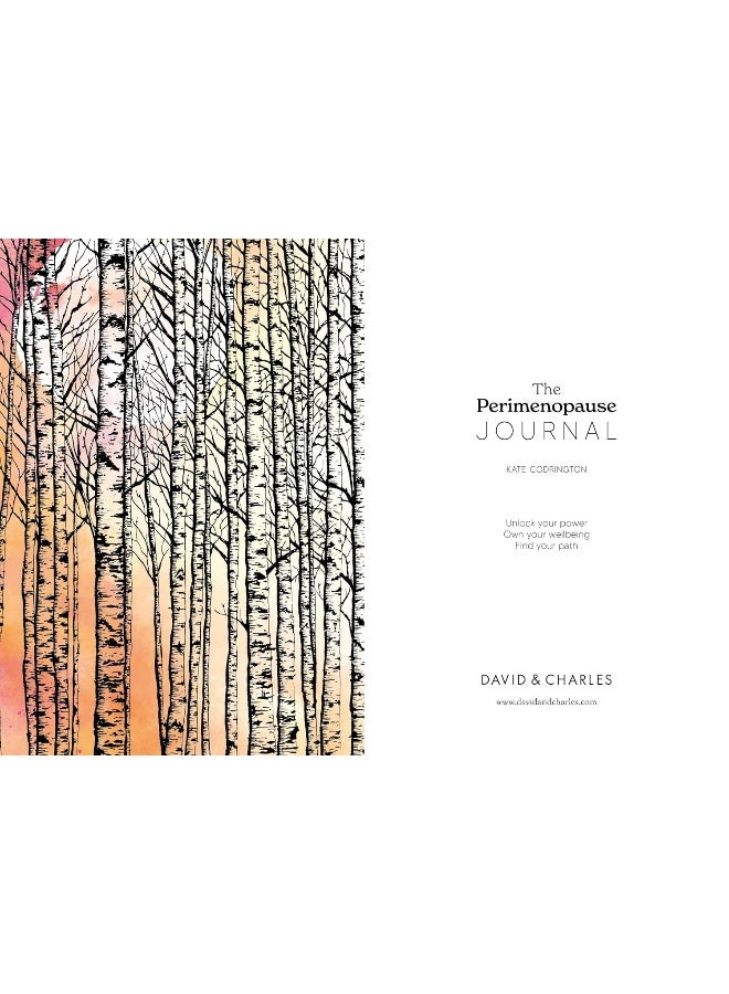 The Perimenopause Journal: Unlock Your Power, Own Your Well-Being, Find Your - Image 2