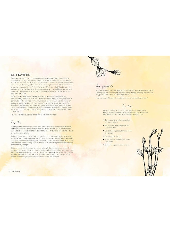 The Perimenopause Journal: Unlock Your Power, Own Your Well-Being, Find Your - Image 3