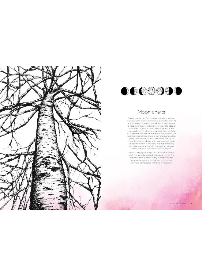 The Perimenopause Journal: Unlock Your Power, Own Your Well-Being, Find Your - Image 5