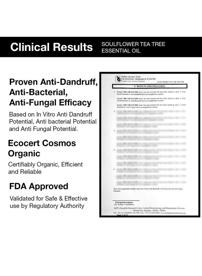 Soulflower Organic Tea Tree Essential Oil For Skin Hair Face Acne Care Dandruff 22 Years Of Worldwide Trust Ecocert Certified Organic 100% Pure Natural Undiluted Therapeutic Grade 10Ml - Image 2
