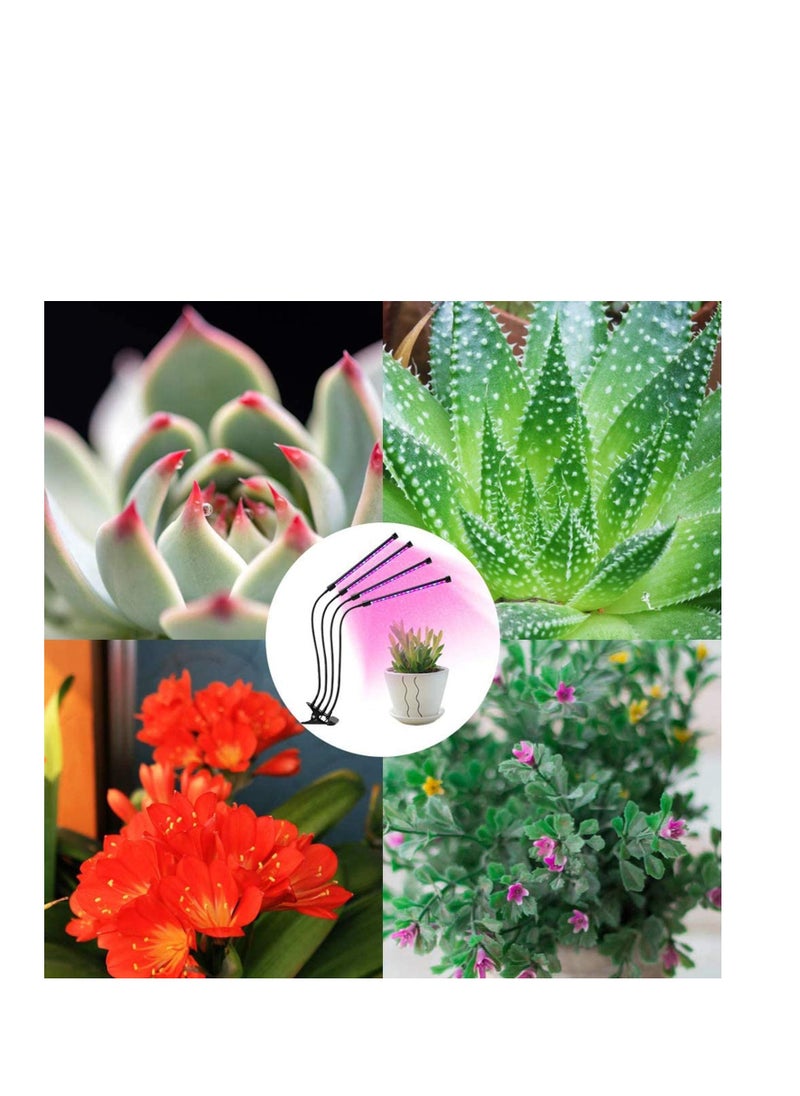 Y&D Grow Light for Indoor Plants, 72 LED 4 Head Full Spectrum Plant Lights, Auto ON/Off 3/9/12 H Timer 3 Switch Modes, 9 Dimmable Levels Succulent Plants Growth  - Image 2