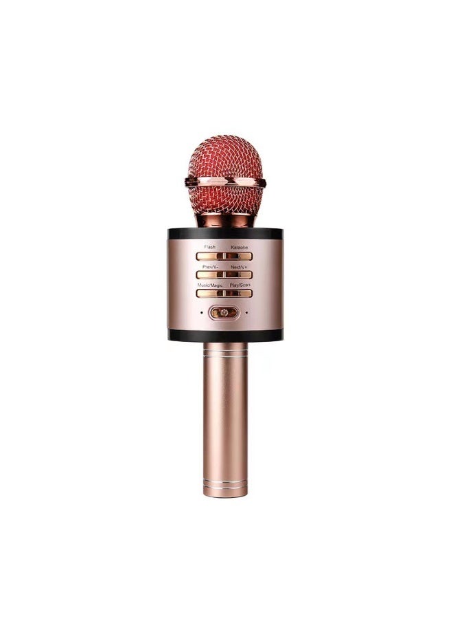EBMINI New Professional Home KTV Singing Recording Home Karaoke Microphone