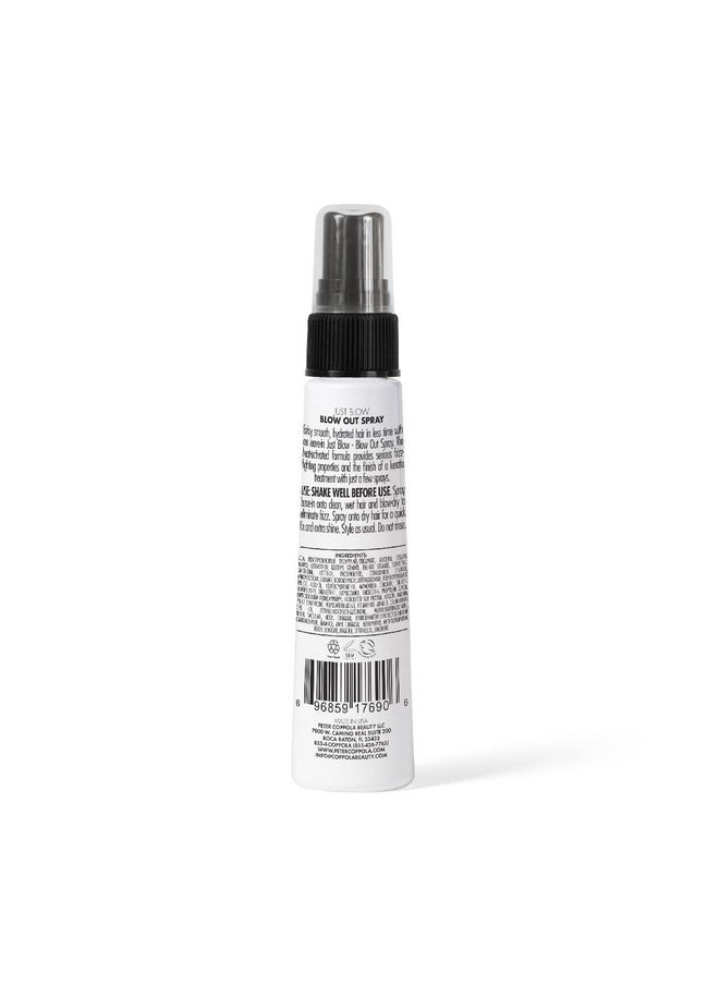Peter Coppola Just Blow - Heat Protectant Spray For Smoother, Straighter Hair - Reduces Blow Dry Time, Conditions And Adds Shine, Travel Size 2 Oz  - Image 2