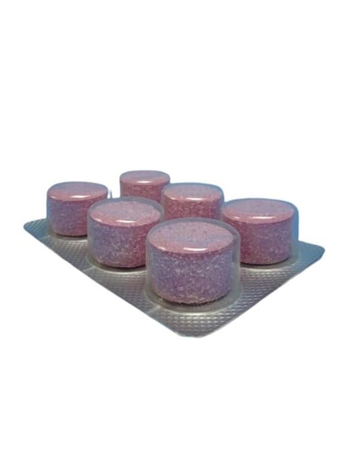 Truma AquaGo Decalcification Tablets - 6 Tablets - Image 2