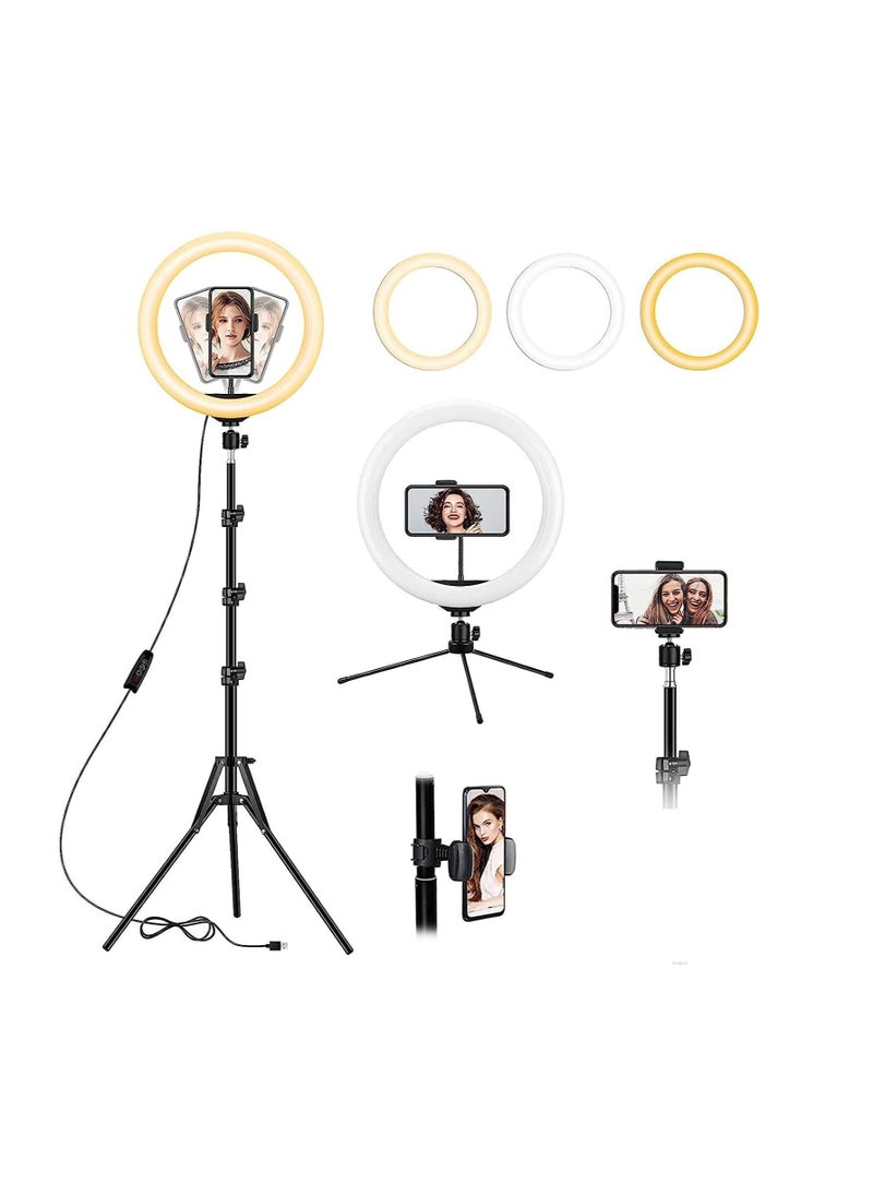 Generic - 10 inch Ring Light with 2 Meter Extendable Tripod Stand, LED Circle Dimmable Lights with Phone Holder for Live Stream/YouTube Video Recording/Zoom Meeting/Makeup/TikTok Ring Light (A) - Image 1