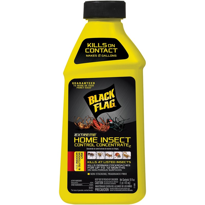 Black Flag Extreme Home Insect Control Concentrate, 16 Ounce, for Indoor and Outdoor Use, Makes 2 Gallons - Image 1