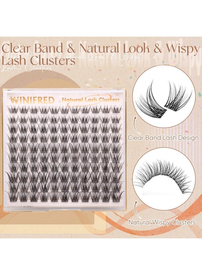 Winifred Natural Lash Clusters Clear Band Eyelash Clusters Wispy Lashes Clusters 8-14mm Cluster Eyelash Extensions C Curl Individual Lashes DIY Lash Extension Natural Look by Winifred - Image 2