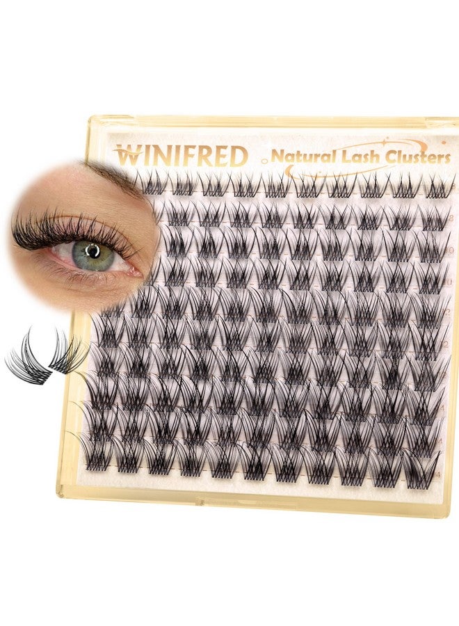 Winifred Natural Lash Clusters Clear Band Eyelash Clusters Wispy Lashes Clusters 8-14mm Cluster Eyelash Extensions C Curl Individual Lashes DIY Lash Extension Natural Look by Winifred - Image 1