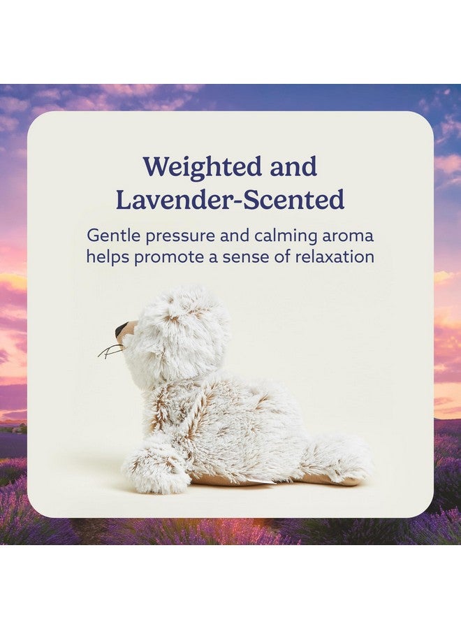 Warmies Microwavable & Weighted Stuffed Animals, Seal - Heated Stuffed Animal Plushie for Warmth & Comfort - Cute Soft Plush Toys for Adults & Children (Boys, Girls, Babies & Toddlers) - Image 3