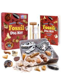 Fossil Dig Kit Excavate 15 Prehistoric Fossils Including Real Dinosaur Bones And Shark Teeth Paleontology Stem Education For Kids Fun Science Activity Gift Sets For Girls And Boys - pzsku/Z3596EC9A378BBAC8C120Z/45/_/1724480160/7608474b-abd1-4280-88ea-b388b181f449