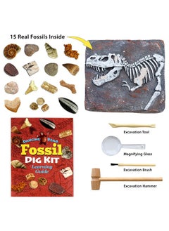 Fossil Dig Kit Excavate 15 Prehistoric Fossils Including Real Dinosaur Bones And Shark Teeth Paleontology Stem Education For Kids Fun Science Activity Gift Sets For Girls And Boys - pzsku/Z3596EC9A378BBAC8C120Z/45/_/1724480167/68fedbce-5471-46ab-bce7-fd62b0a391d0