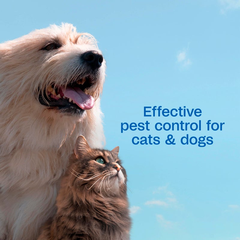 ADAMS Plus Flea & Tick Shampoo with Precor IGR for Cats, Kittens, Dogs & Puppies Over 12 Weeks of Age, Sensitive Skin Flea Treatment, Kills Adult Fleas, Flea Eggs, Ticks, and Lice, 24 Ounces - Image 4