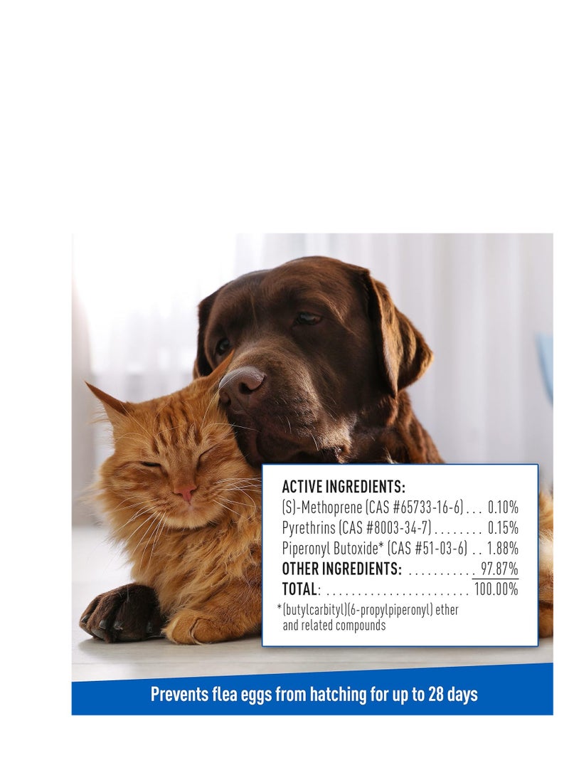 ADAMS Adams Plus Flea & Tick Shampoo with Precor for Cats, Kittens, Dogs & Puppies Over 12 Weeks Of Age |Sensitive Skin Flea Treatment |Kills Adult Fleas, Flea Eggs, Ticks, and Lice |24 Oz, Pump Included  - Image 5