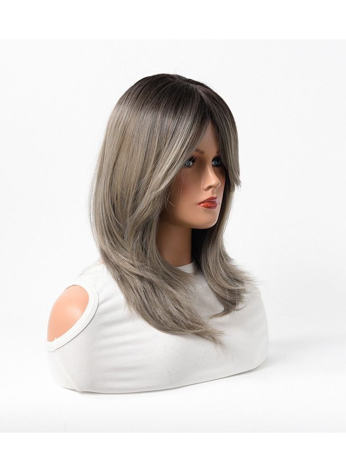 إستيل مقاومة للحرارة الاصطناعية باروكة شعر مستعار طبيعي طويل مستقيم مع الانفجارات سيدة الألياف شعر مستعار أنيق رمادي غامق - Image 3