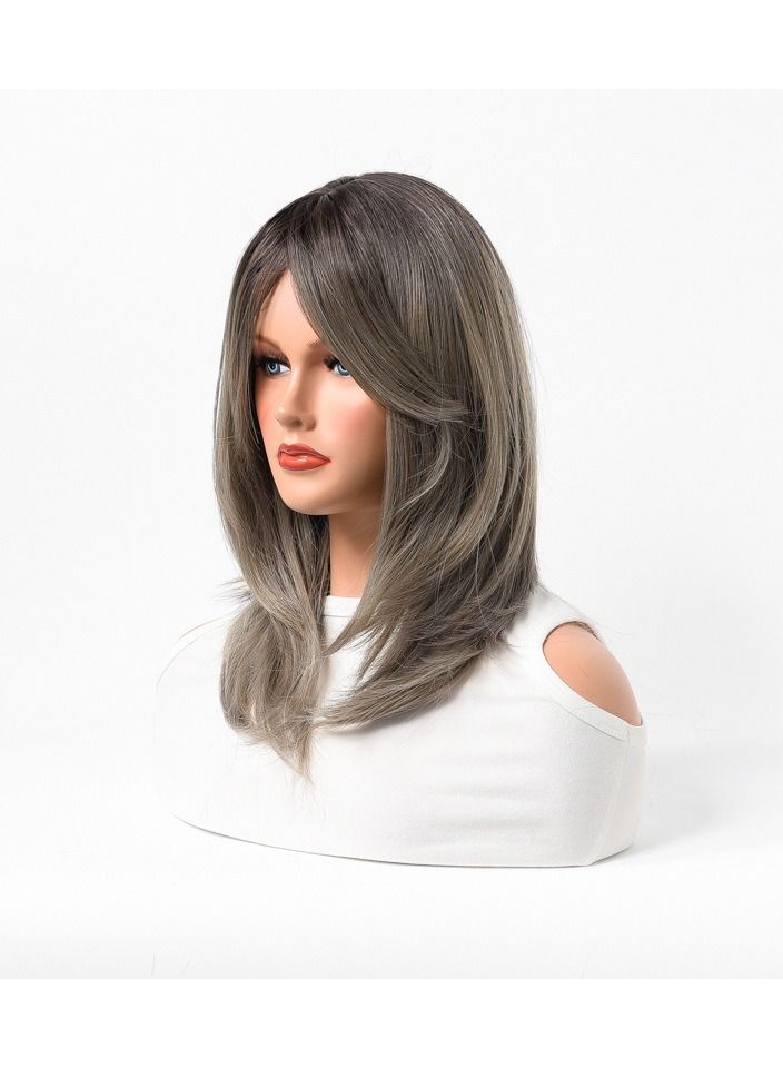 إستيل مقاومة للحرارة الاصطناعية باروكة شعر مستعار طبيعي طويل مستقيم مع الانفجارات سيدة الألياف شعر مستعار أنيق رمادي غامق - Image 2
