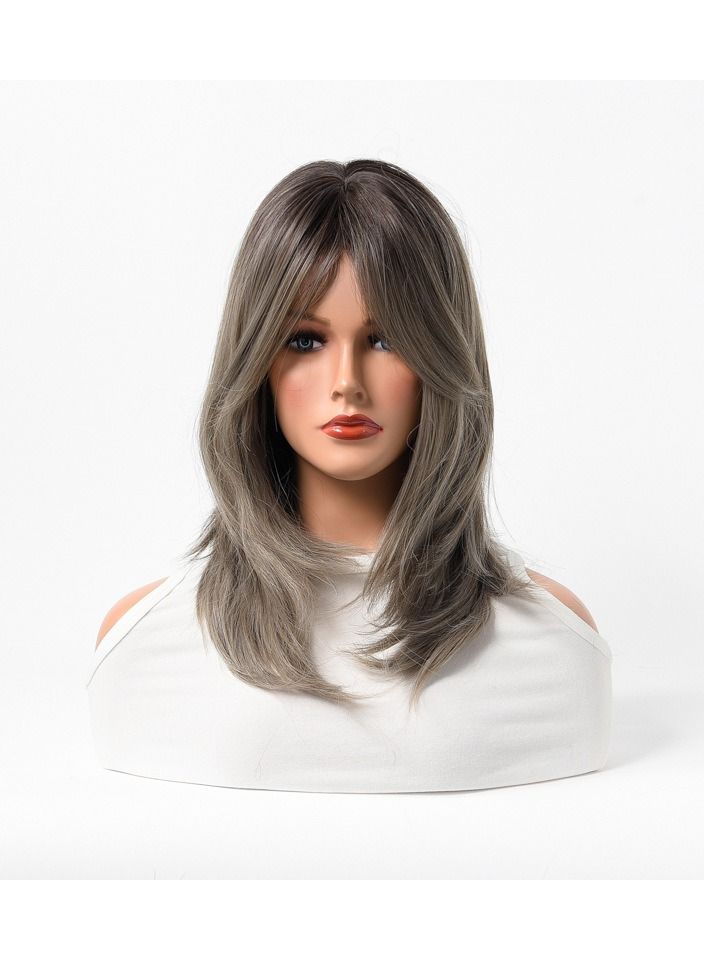 إستيل مقاومة للحرارة الاصطناعية باروكة شعر مستعار طبيعي طويل مستقيم مع الانفجارات سيدة الألياف شعر مستعار أنيق رمادي غامق - Image 1