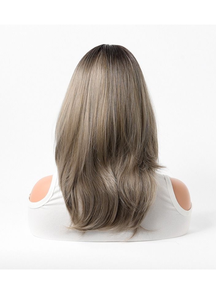 إستيل مقاومة للحرارة الاصطناعية باروكة شعر مستعار طبيعي طويل مستقيم مع الانفجارات سيدة الألياف شعر مستعار أنيق رمادي غامق - Image 4