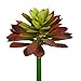 Vickerman Everyday 10" Artificial Red and Green Succulent Stem 2 Pack - Faux Indoor Decorative Plant - Greenery for - Image 2