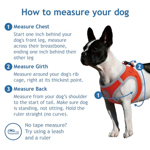 DOCO No Pull Dog Harness for Medium Dogs Adjustable ChokeFree Dog Vest with Breathable Air Mesh Light Reflective for Training Daily Walks Gray Medium Chest 1617 Weight 1015 lbs - Image 3