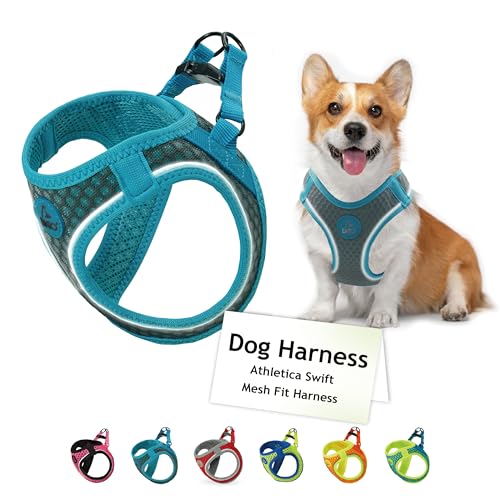 DOCO No Pull Dog Harness for Medium Dogs Adjustable ChokeFree Dog Vest with Breathable Air Mesh Light Reflective for Training Daily Walks Gray Medium Chest 1617 Weight 1015 lbs - Image 1