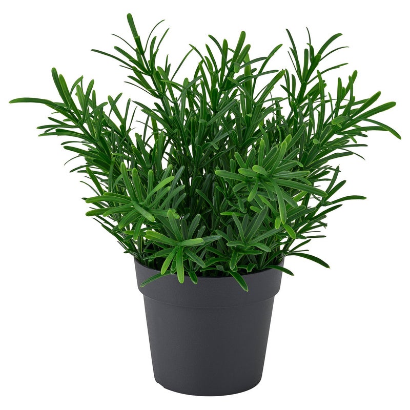 FEJKA Artificial Potted Rosemary Plant, Green, 9 cm Pot - Image 1