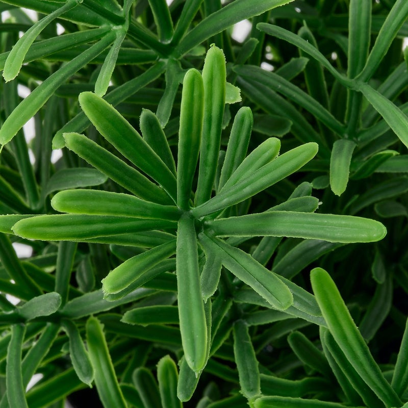 FEJKA Artificial Potted Rosemary Plant, Green, 9 cm Pot - Image 3