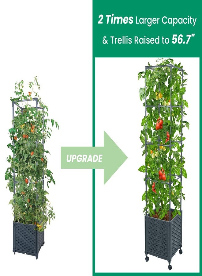GREEN MOUNT Raised Garden Bed Planter Boxes with Trellis for Climbing Vegetables Plants, 56.7" Tomatoes Planters Outdoor Tomato Cage w/Wheels - Image 3