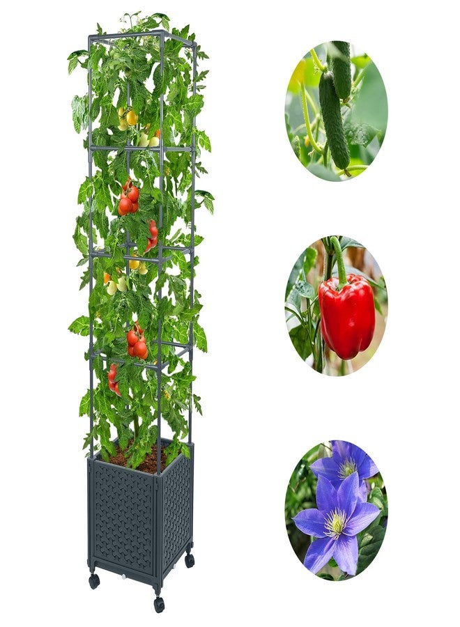GREEN MOUNT Raised Garden Bed Planter Boxes with Trellis for Climbing Vegetables Plants, 56.7" Tomatoes Planters Outdoor Tomato Cage w/Wheels - Image 2