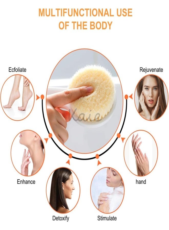 KAIE Long Handle Back Scrubber for Shower, Body Wash Brush with Curved Plastic Handle, Exfoliating Bath Scrubber (Dry Brush Multi Color) - Image 3