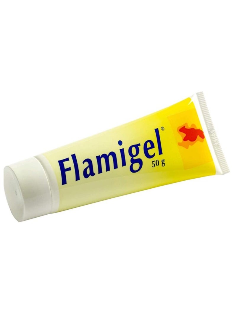 flamigel Flamigel wounds and burns 50G 