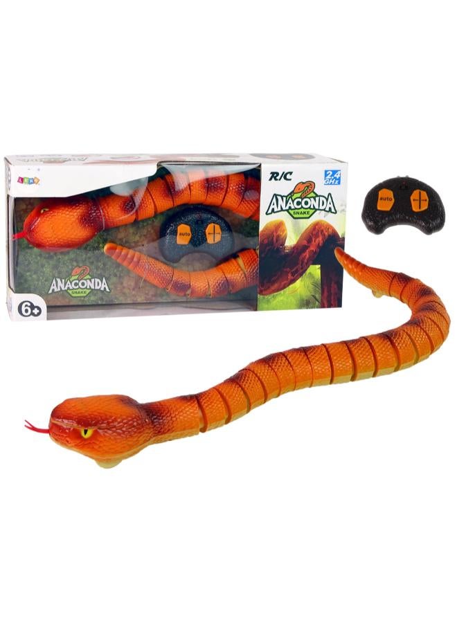 FOR BABY RC Anaconda Toy - Image 1