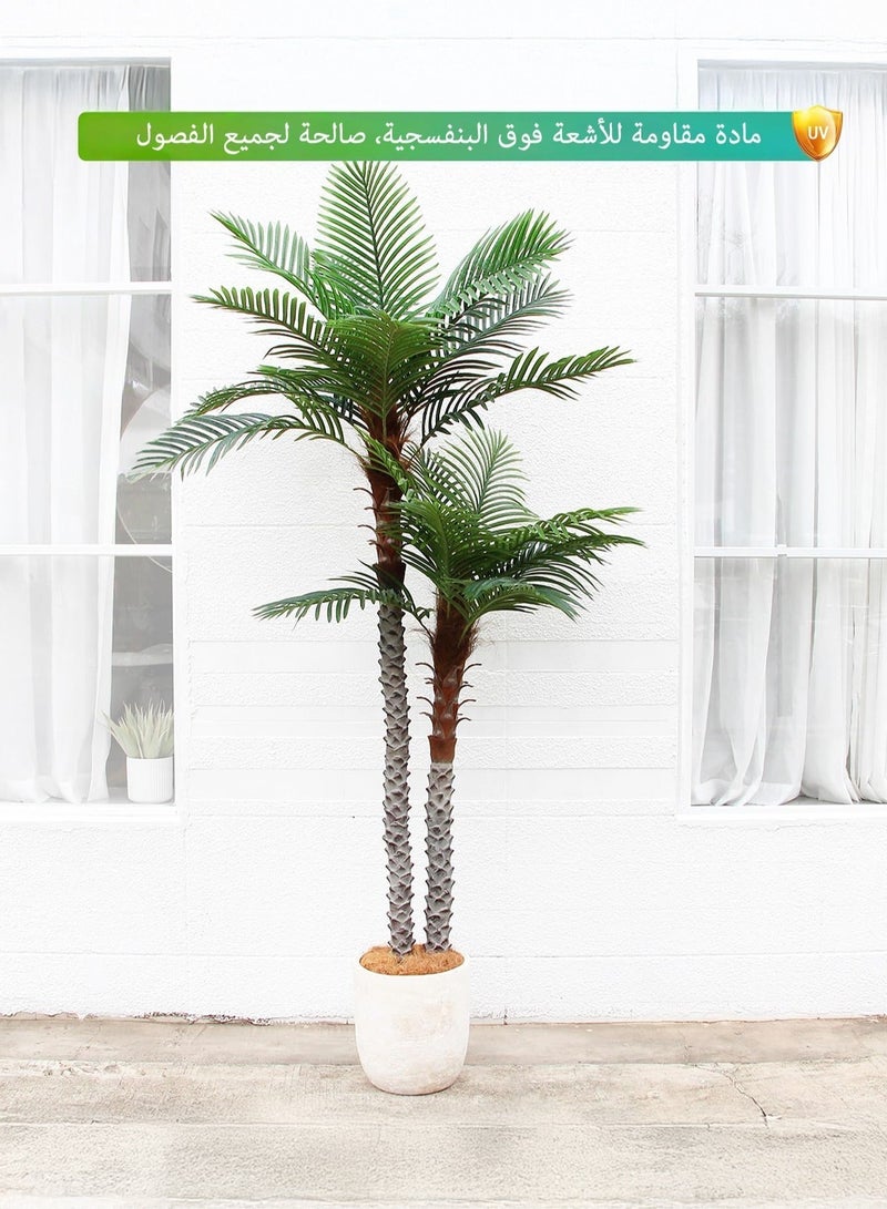 زفيزفيا نخلة صناعية طويلة 240سم مقاومة للأشعة فوق البنفسجية - للديكور الداخلي والخارجي، بجذع وأوراق واقعية للمنزل والمكتب والحديقة - Image 5