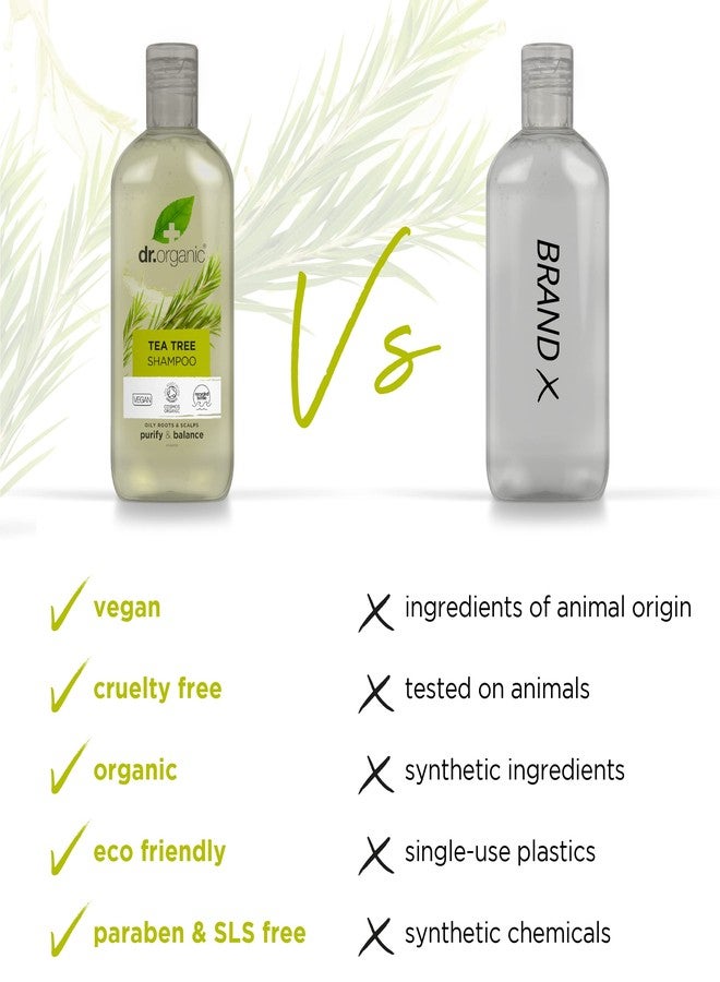 dr.organic شامبو شجرة الشاي من أورجانيك دوكتور، 9 أونصة سائلة - Image 2