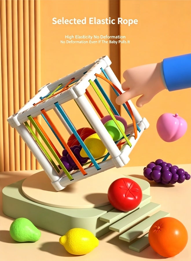 6-18 Months Baby Montessori Sensory Cube Toy, Elastic Band Fruit Pull Out Game, Fine Motor Skill Development Teething Toy for Toddler, 6Pcs Fruit Shape Educational Play Toy - Image 5