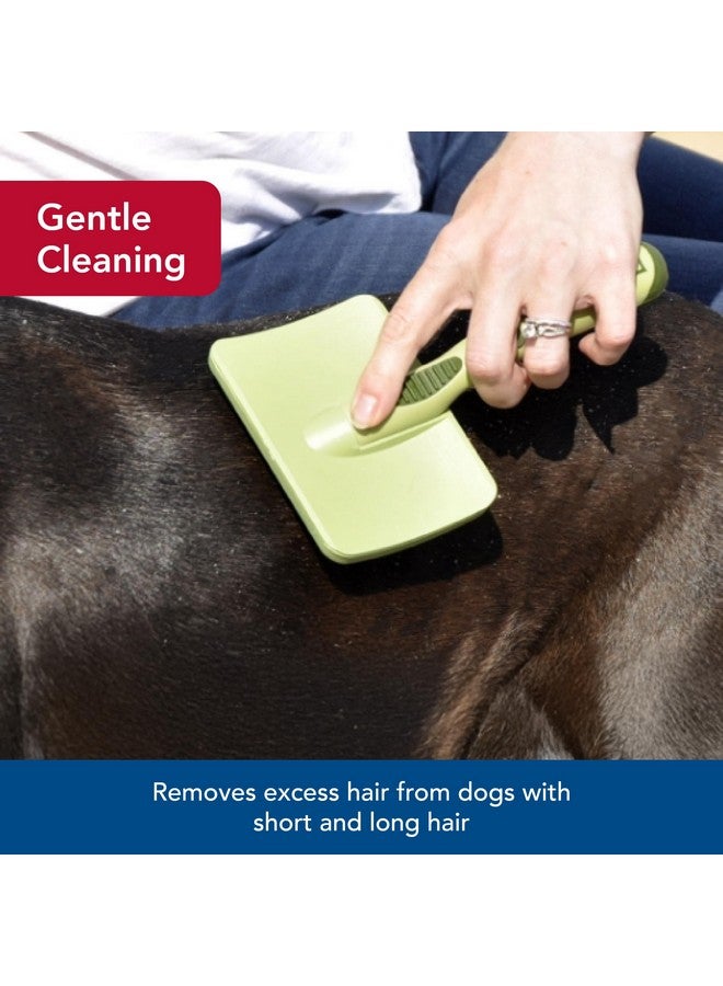 Coastal Pet Safari Dog Soft Slicker Brush - Dog Grooming Brush for Shedding - for Dogs with Short, Medium and Long Hair - Small - 6.5" x 2.5" - Image 3